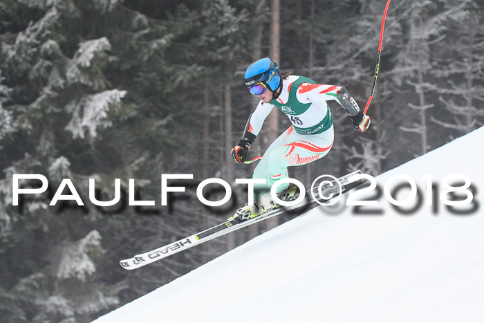 FIS Super-G Herren 08.02.2018