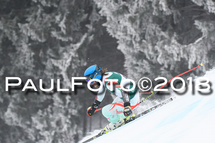 FIS Super-G Herren 08.02.2018