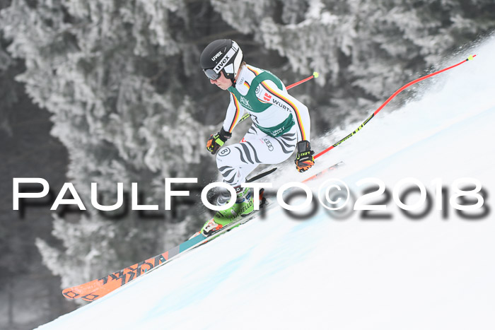 FIS Super-G Herren 08.02.2018