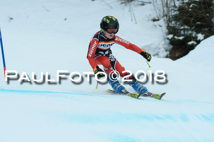 2. WF Ziener Cup, Kathihang, 09.02.2018