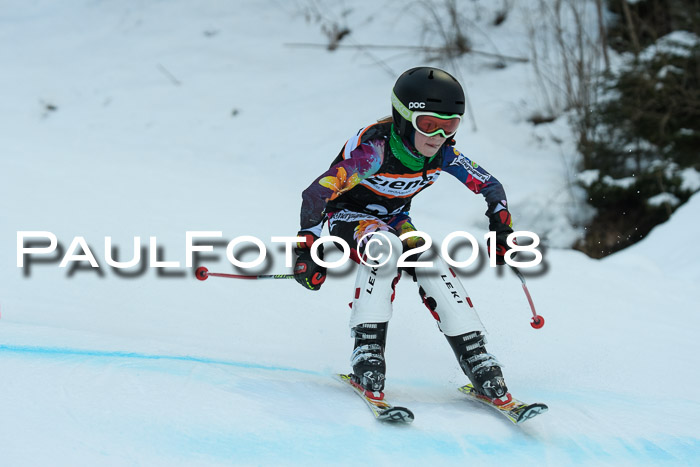 2. WF Ziener Cup, Kathihang, 09.02.2018