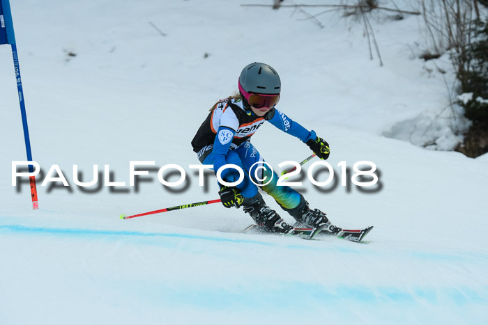 2. WF Ziener Cup, Kathihang, 09.02.2018