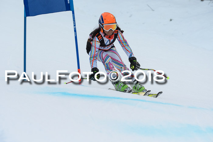 2. WF Ziener Cup, Kathihang, 09.02.2018