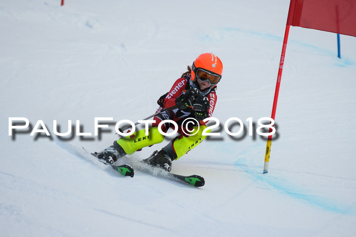 2. WF Ziener Cup, Kathihang, 09.02.2018