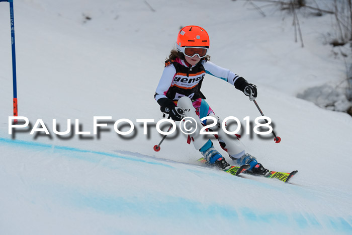 2. WF Ziener Cup, Kathihang, 09.02.2018