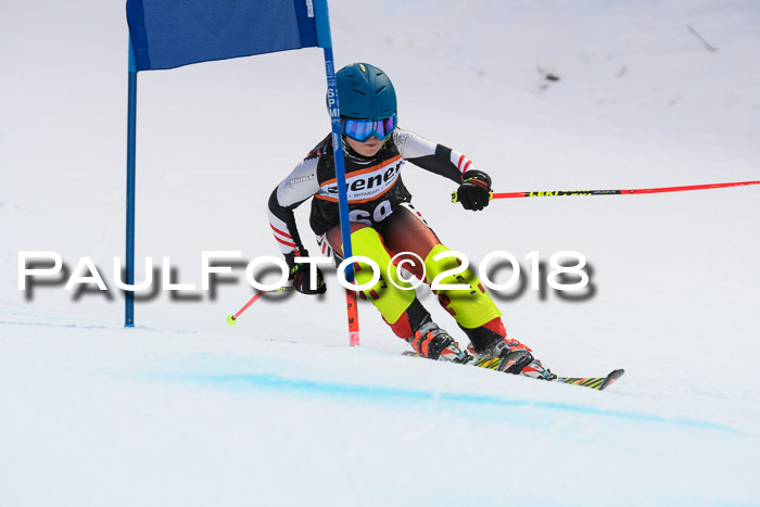 2. WF Ziener Cup, Kathihang, 09.02.2018