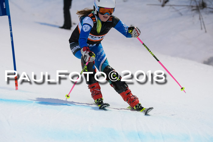 2. WF Ziener Cup, Kathihang, 09.02.2018