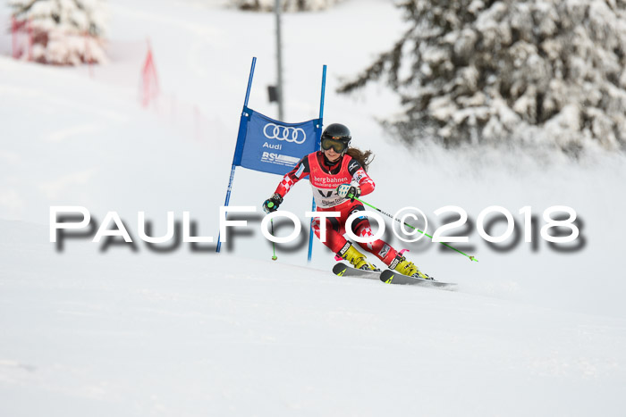 FIS Riesenslalom, Damen + Herren, Oberjoch, Bay. Jugendmeisterschaft, 14.02.2018