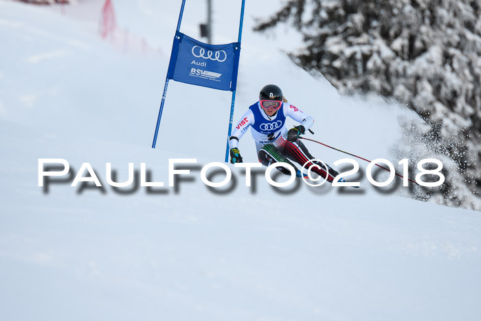 FIS Riesenslalom, Damen + Herren, Oberjoch, Bay. Jugendmeisterschaft, 14.02.2018