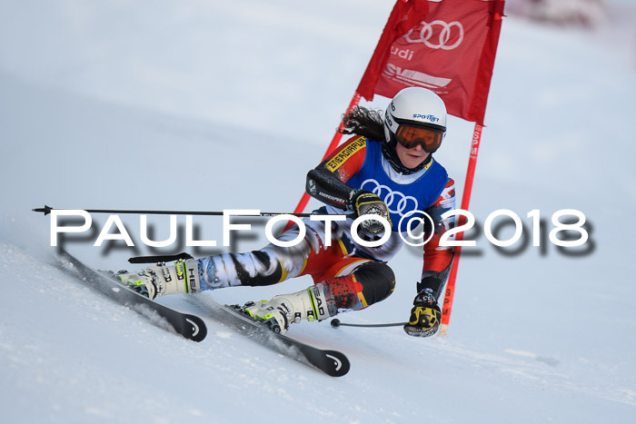 FIS Riesenslalom, Damen + Herren, Oberjoch, Bay. Jugendmeisterschaft, 14.02.2018