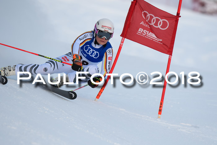 FIS Riesenslalom, Damen + Herren, Oberjoch, Bay. Jugendmeisterschaft, 14.02.2018