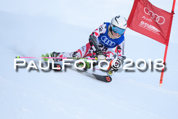 FIS Riesenslalom, Damen + Herren, Oberjoch, Bay. Jugendmeisterschaft, 14.02.2018