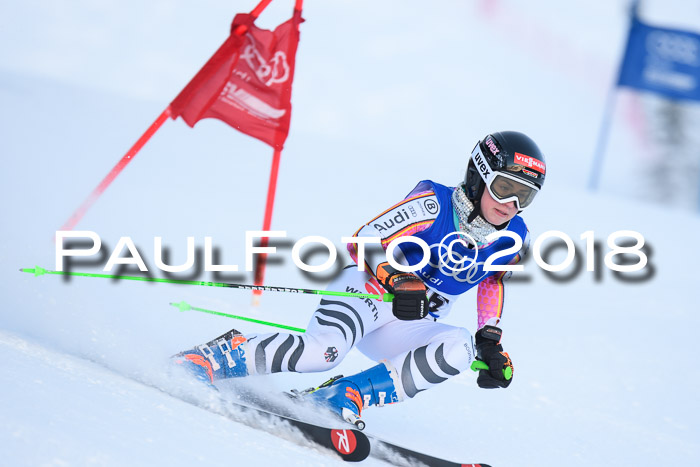 FIS Riesenslalom, Damen + Herren, Oberjoch, Bay. Jugendmeisterschaft, 14.02.2018