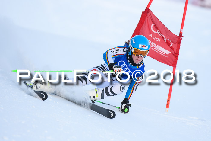 FIS Riesenslalom, Damen + Herren, Oberjoch, Bay. Jugendmeisterschaft, 14.02.2018