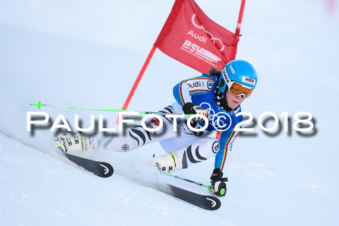 FIS Riesenslalom, Damen + Herren, Oberjoch, Bay. Jugendmeisterschaft, 14.02.2018