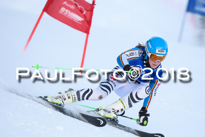 FIS Riesenslalom, Damen + Herren, Oberjoch, Bay. Jugendmeisterschaft, 14.02.2018