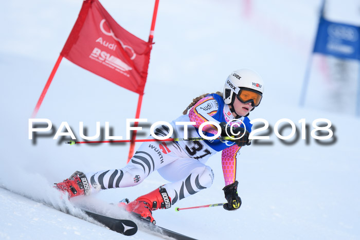 FIS Riesenslalom, Damen + Herren, Oberjoch, Bay. Jugendmeisterschaft, 14.02.2018