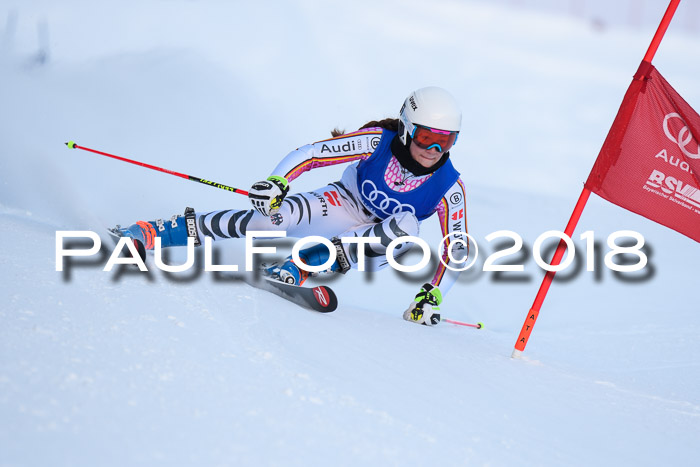 FIS Riesenslalom, Damen + Herren, Oberjoch, Bay. Jugendmeisterschaft, 14.02.2018