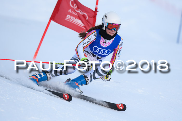 FIS Riesenslalom, Damen + Herren, Oberjoch, Bay. Jugendmeisterschaft, 14.02.2018