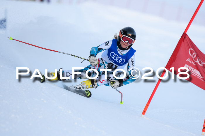 FIS Riesenslalom, Damen + Herren, Oberjoch, Bay. Jugendmeisterschaft, 14.02.2018