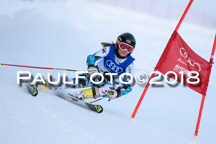 FIS Riesenslalom, Damen + Herren, Oberjoch, Bay. Jugendmeisterschaft, 14.02.2018
