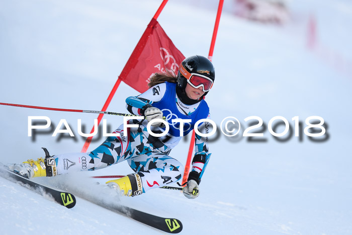 FIS Riesenslalom, Damen + Herren, Oberjoch, Bay. Jugendmeisterschaft, 14.02.2018
