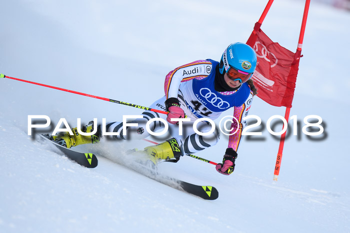 FIS Riesenslalom, Damen + Herren, Oberjoch, Bay. Jugendmeisterschaft, 14.02.2018