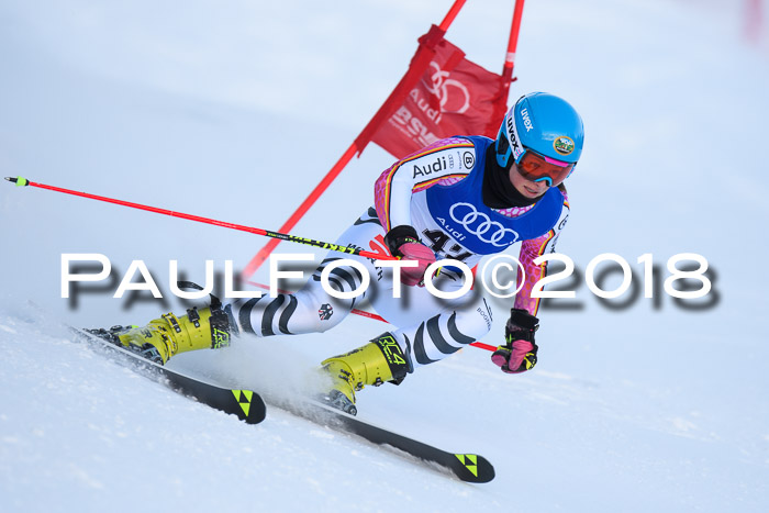 FIS Riesenslalom, Damen + Herren, Oberjoch, Bay. Jugendmeisterschaft, 14.02.2018