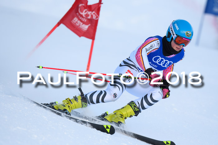 FIS Riesenslalom, Damen + Herren, Oberjoch, Bay. Jugendmeisterschaft, 14.02.2018