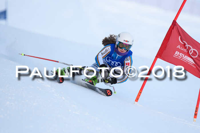 FIS Riesenslalom, Damen + Herren, Oberjoch, Bay. Jugendmeisterschaft, 14.02.2018