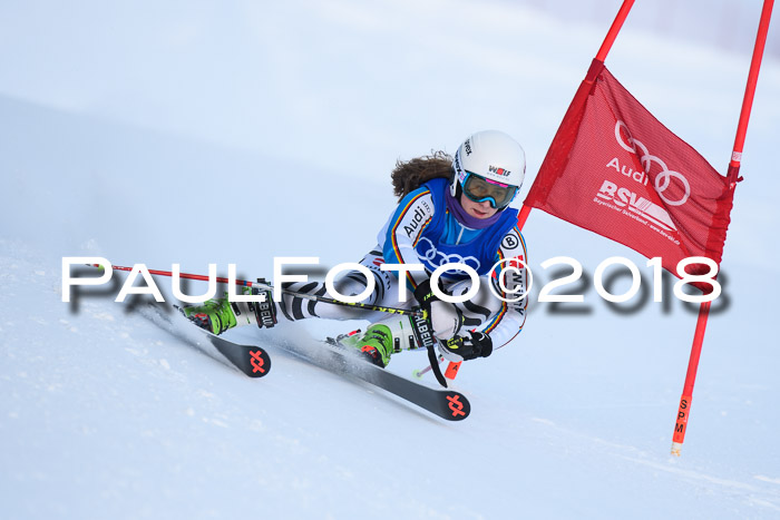 FIS Riesenslalom, Damen + Herren, Oberjoch, Bay. Jugendmeisterschaft, 14.02.2018