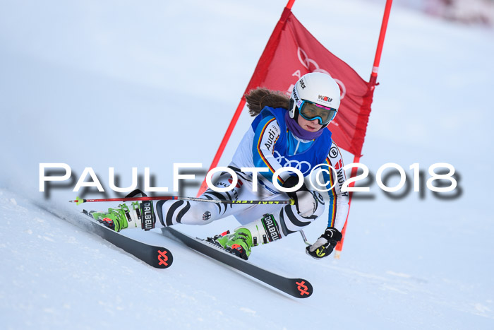 FIS Riesenslalom, Damen + Herren, Oberjoch, Bay. Jugendmeisterschaft, 14.02.2018
