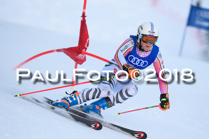 FIS Riesenslalom, Damen + Herren, Oberjoch, Bay. Jugendmeisterschaft, 14.02.2018