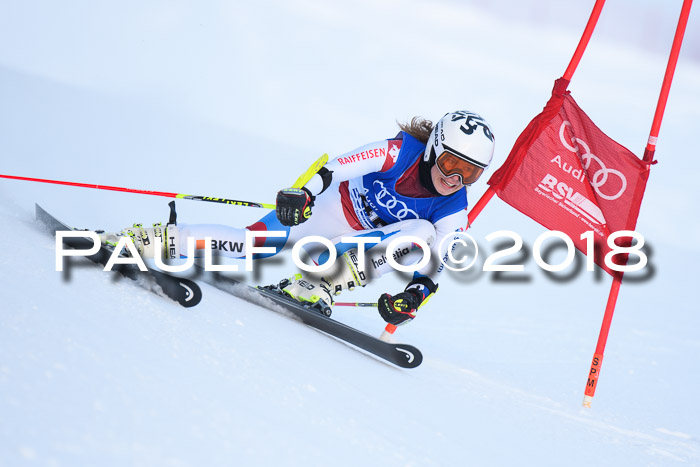 FIS Riesenslalom, Damen + Herren, Oberjoch, Bay. Jugendmeisterschaft, 14.02.2018