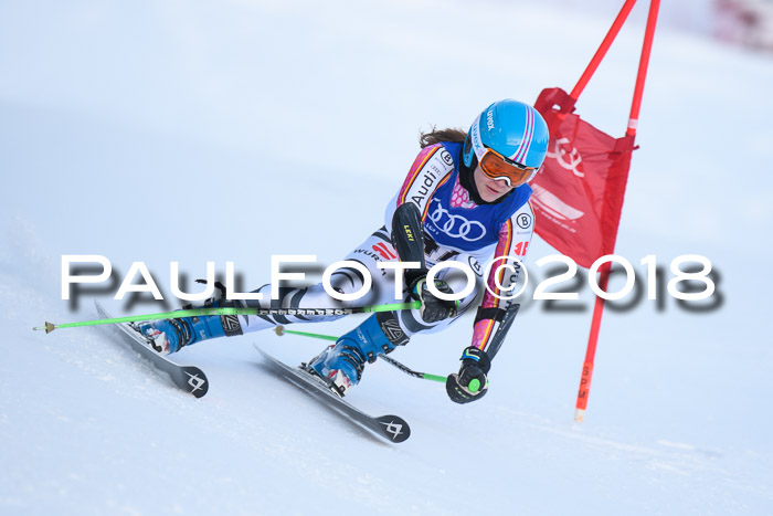 FIS Riesenslalom, Damen + Herren, Oberjoch, Bay. Jugendmeisterschaft, 14.02.2018