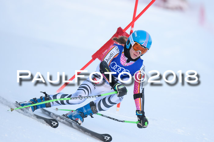 FIS Riesenslalom, Damen + Herren, Oberjoch, Bay. Jugendmeisterschaft, 14.02.2018