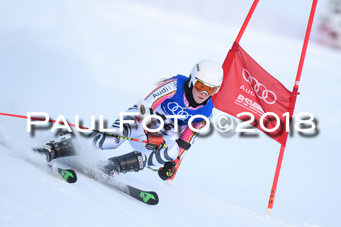 FIS Riesenslalom, Damen + Herren, Oberjoch, Bay. Jugendmeisterschaft, 14.02.2018