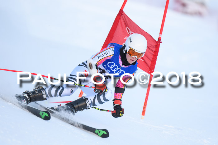 FIS Riesenslalom, Damen + Herren, Oberjoch, Bay. Jugendmeisterschaft, 14.02.2018