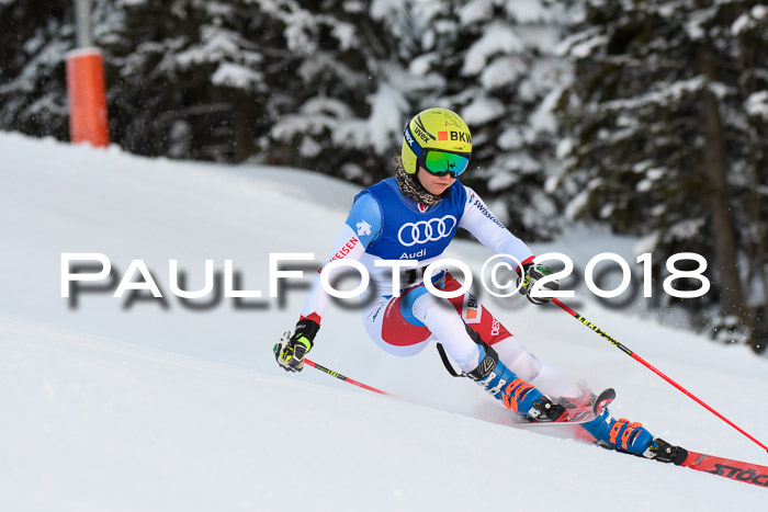 FIS Riesenslalom, Damen + Herren, Oberjoch, Bay. Jugendmeisterschaft, 14.02.2018