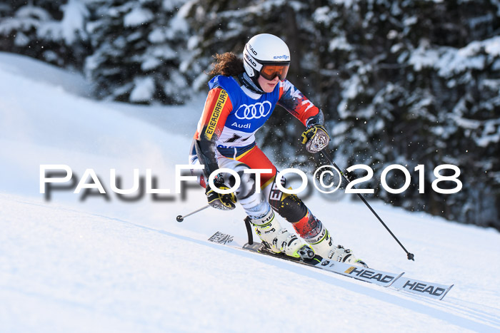 FIS Riesenslalom, Damen + Herren, Oberjoch, Bay. Jugendmeisterschaft, 14.02.2018