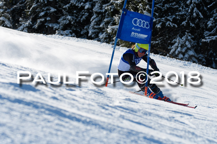 FIS Riesenslalom, Damen + Herren, Oberjoch, Bay. Jugendmeisterschaft, 14.02.2018