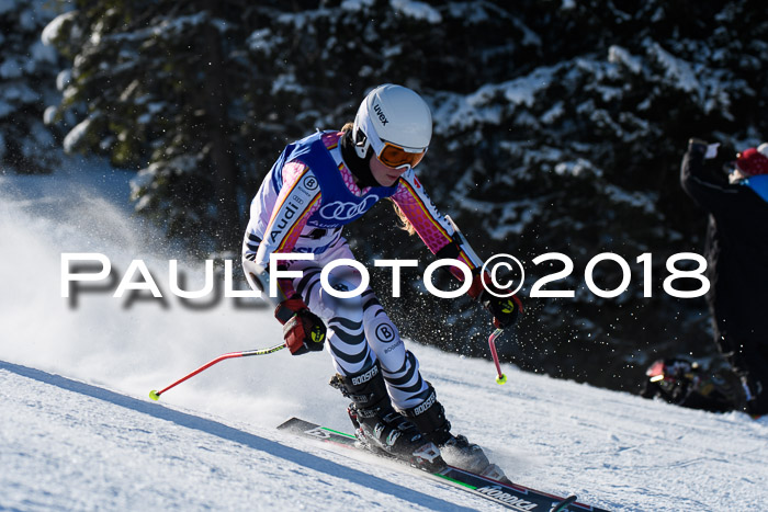 FIS Riesenslalom, Damen + Herren, Oberjoch, Bay. Jugendmeisterschaft, 14.02.2018