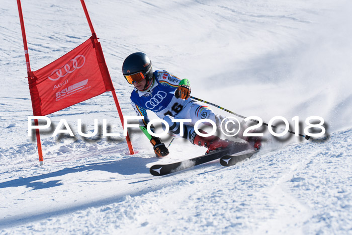 FIS Riesenslalom, Damen + Herren, Oberjoch, Bay. Jugendmeisterschaft, 14.02.2018