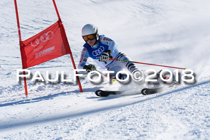 FIS Riesenslalom, Damen + Herren, Oberjoch, Bay. Jugendmeisterschaft, 14.02.2018