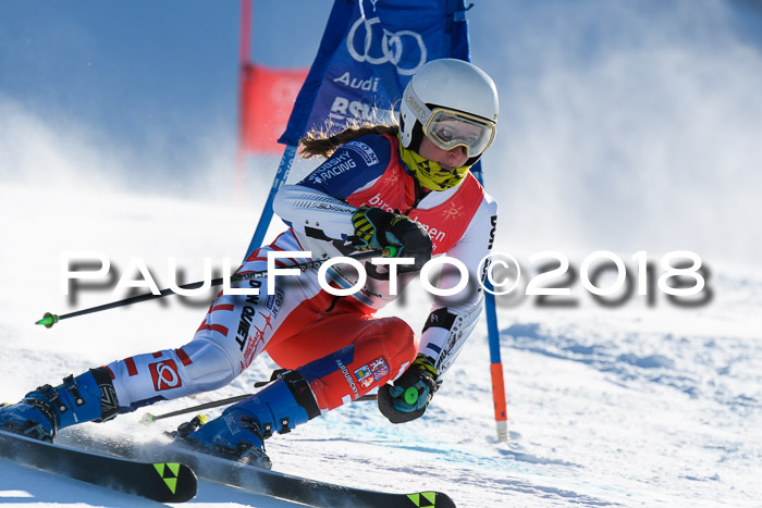 FIS Riesenslalom, Damen + Herren, Oberjoch, Bay. Jugendmeisterschaft, 14.02.2018