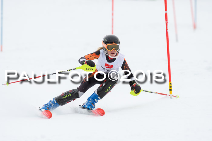 5. BZB CUP SL; WFM 2018