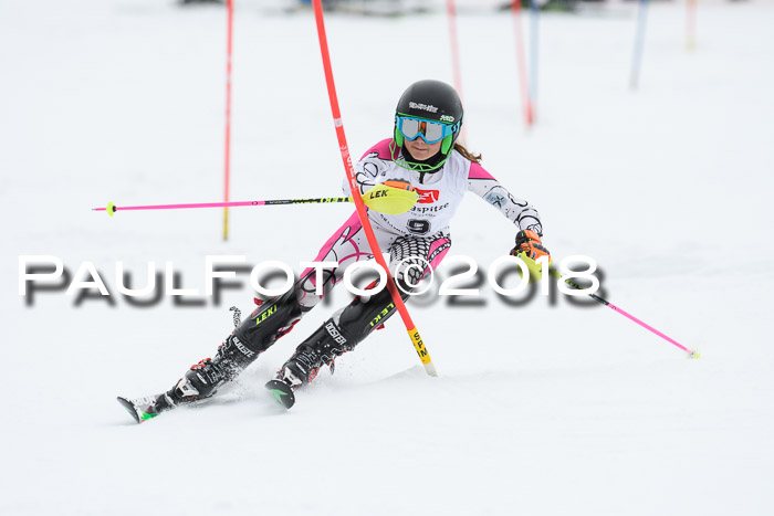 5. BZB CUP SL; WFM 2018