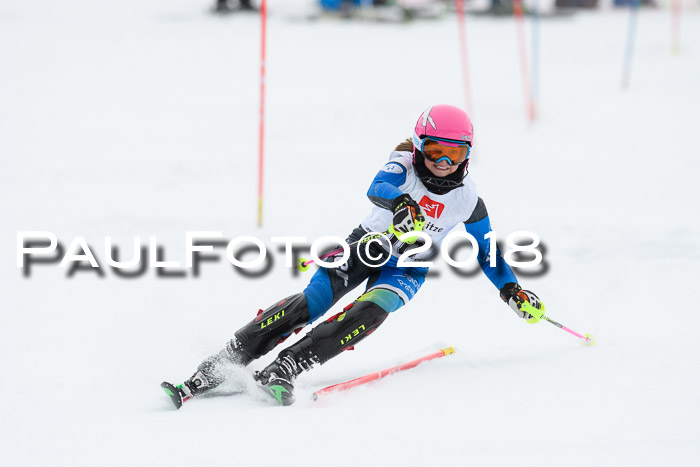 5. BZB CUP SL; WFM 2018
