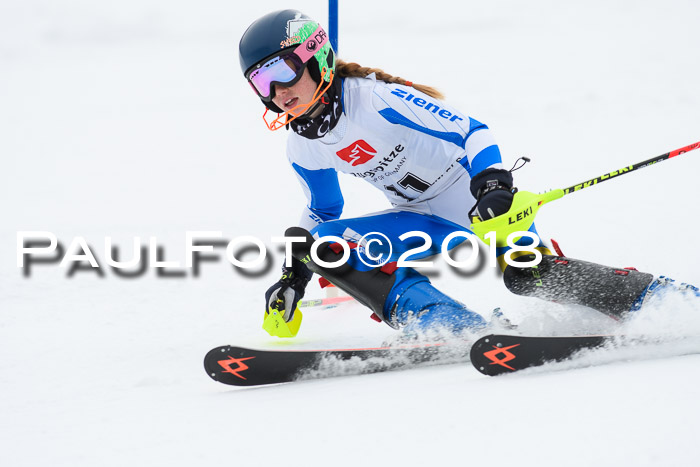 5. BZB CUP SL; WFM 2018