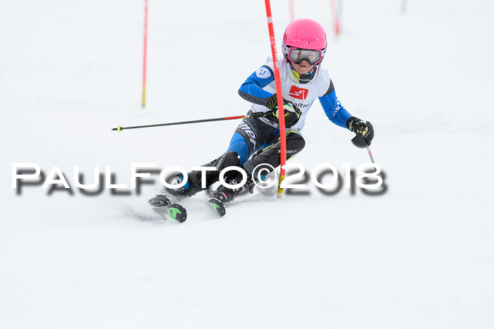 5. BZB CUP SL; WFM 2018